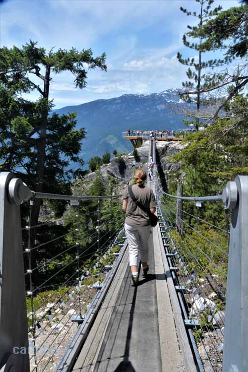 suspensioin bridge
